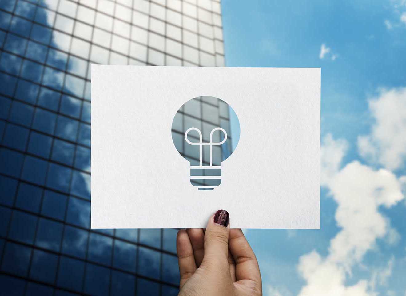 IP & Data Privacy Strategy Consulting